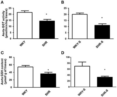 Reduced Activity of the Aortic Gamma-Glutamyltransferase Does Not Decrease <mark class="highlighted">S-Nitrosoglutathione</mark> Induced Vasorelaxation of Rat Aortic Rings